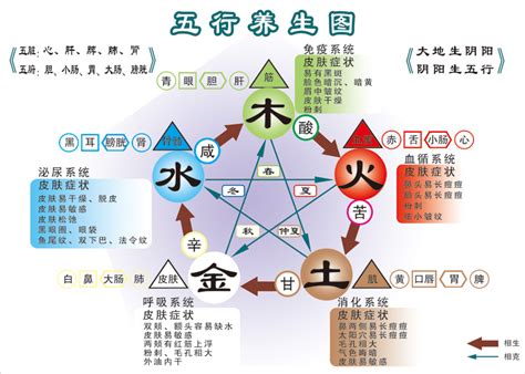 木类职业|五行与职业的划分（最新版）五行属木的职业有哪些